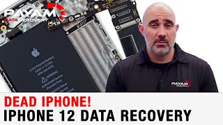 Can you recover data from an iPhone 12 that will not turn on? Dead iPhone!