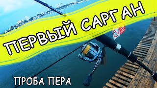 🐟Первый сарган на пилькер // Рокфишинг Анапа пляж