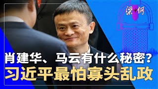 肖建华、马云有什么秘密？赵薇夫妇全中招；习近平最怕寡头乱政 ｜#梁+何（326）