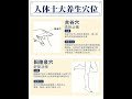 人体十大养生穴位