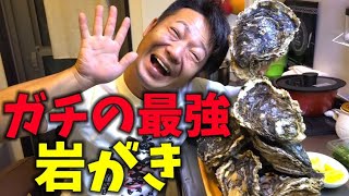 京都ブランド岩牡蠣4年物！ガチの最強岩がき！丹後の海育成岩がき