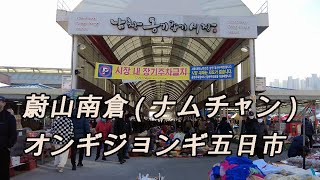 【韓国】日曜日の朝早く東海線に乗って蔚山南倉(ナムチャン)の五日市ツアー。 #蔚州郡 #南倉 #南倉駅 #オンギジョンギ市場 🇰🇷 Ulsan Namchang Market #蔚山旅行 [4K]