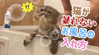 ”お風呂嫌いの猫”をお風呂好きにする方法