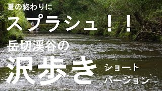 岳切渓谷の沢歩きショートバージョン