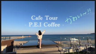 바다를 통창에 담은 카페☕️ㅣ물치해변 뷰 맛집ㅣ양양 P.E.I coffee