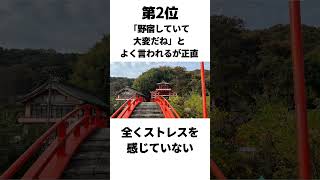 【日本一周自転車旅】野宿に関する衝撃の事実3選  #日本一周 #1人旅 #野宿