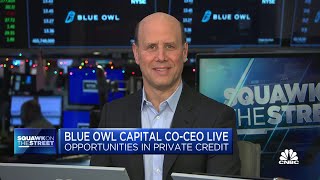 There would almost be no debt capital markets if not for lenders like us: Blue Owl Capital co-CEO