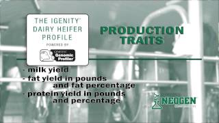 NEOGEN® Igenity® Dairy Heifer Genetic Testing