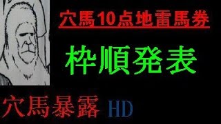 【穴馬変則10点地雷馬券】セントライト記念、ローズステークス2014の暫定予想！！