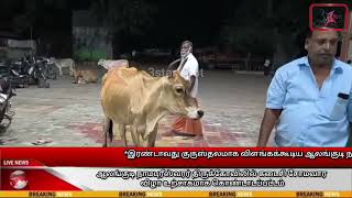 ஆலங்குடி நாமபுரீஸ்வரர் திருக்கோவிலில் கடைசி சோமவார விழா உற்சாகமாக கொண்டாடப்பட்டம் #viral #god #sivan