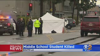 Boy, 12, Struck And Killed While Walking To School In South LA