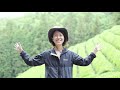 「wachaen japanese tea farm」　documentary film of osamu ueda