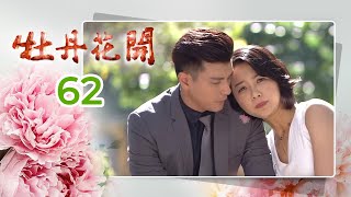 牡丹花開 Peony In Bloom EP.062