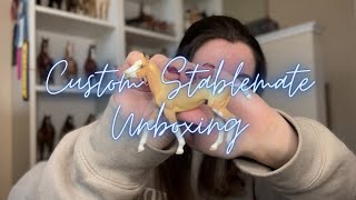 Custom Breyer Horse Stablemate Unboxing💛