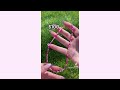 ✨🌸 Clay Bead Bracelet TikTok Compilation 🌸✨ #1  Bracelet Making TicToks