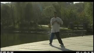 The 3 Empty Hands Forms of Wing Chun(China)