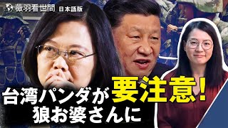 薇羽看世間【日本語版】武装統一はもうしない？  12条で強制的に統一する方が魅力的?   24カラットのダイヤモンドリングで プロポーズされた台湾パンダは、 狼おばあさんに遭遇することに 要注意！