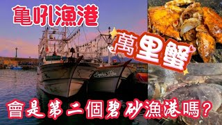 亀吼漁港 萬里蟹 會是第二個碧砂漁港嗎？#遊客#美食#料理 #漁獲 #漁港 #三點蟹 #新北市#萬里#淡水#夕陽#銀髮族#親子遊#去哪玩#野柳 #景點#爬山#翡翠灣#海#看海#美食