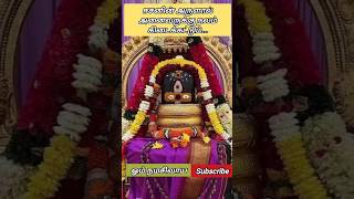 மனம் கலங்கும் போது ஒரு நிமிடம் அப்பனை நினைத்தால் மனம் தெளிவடையும் சிவாய நமக.. 🙏🙏#sivan #சிவன்