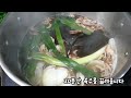 묵힐수록 맛있다~ 두고두고 먹을수있는 초간단 밑반찬~ 고추장아찌 뚝딱밥상