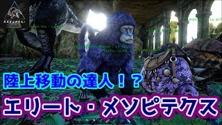 【ARK MOD】最高の陸上移動用ババコンガ！「エリート・メソピテクス」【Ark: Survival Evolved】【ARK：The Center】