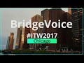 Converge Network Digest Interview - BridgeVoicePluto