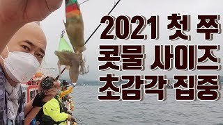 쭈꾸미 낚시 금어기 해제 2021.09.01. 첫날부터 즐낚 ㄱㄱ 오천항