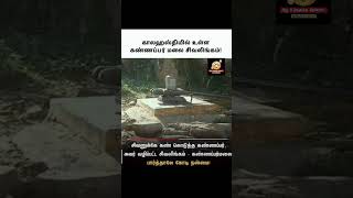 சிவனுக்கே கண் கொடுத்த கண்ணப்பர் அவர் வழிப்பட்ட சிவலிங்கம்#history#historical #ancient#ancienthistory