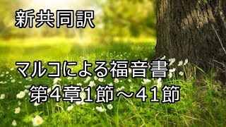 【 耳で読む聖書 】