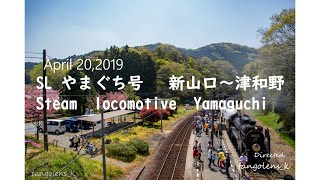 SL やまぐち号-D51デゴイチ-　Steam Locomotive in JAPAN　April 20,2019