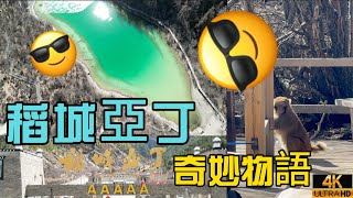 稻城亞丁奇妙之旅：探索仙境般的秘境世界！