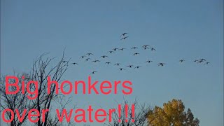 Minnesota Duck Hunting- Honkers over water!!(70 Bird Day)