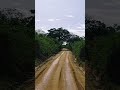 Trip #trip #ride #travel #travelwondervibe #travelvlog #roadtrip #road #dirt #shortsfeed #fun #edit