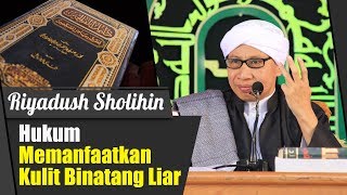 Bab Berpakaian : Hukum Memanfaatkan Kulit Binatang Liar | Buya Yahya |Riyadussholihin | 22 Okt 2017