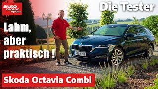 Skoda Octavia Combi: Lahm, aber praktisch! - Test | auto motor und sport