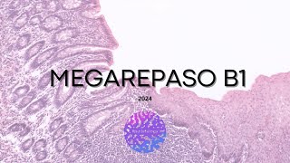 MEGAREPASO BLOQUE I 2024 - its.histology