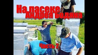 На пасеке Андрея Бодяна - Летний визит /Часть вторая/