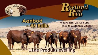 Roeland rooi 11de Produksieveiling 2021