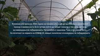 ПРЕПОРАКИ ЗА ЕДУКАЦИЈА И ЗАШТИТА ОД КОВИД-19 ЗА ИНДИВИДУАЛНИТЕ ЗЕМЈОДЕЛСКИ ПРОИЗВОДИТЕЛИ - 02