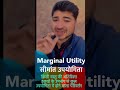 सीमांत उपयोगिता