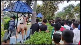 murshidabad kandi gokarna park www মুর্শিদাবাদ কান্দি গকর্ণ পার্ক ঝগরা ও মারামারি 😮😮