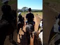 Passeio de cavalo - 06/2019