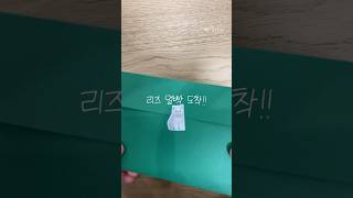 리즈 얼빡이데 혜자네ㅔ