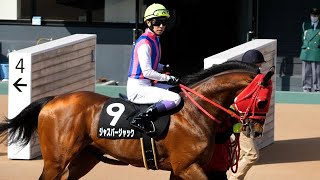 武豊 ジャスパージャック 本馬場入場前 船橋Ｓ 2022