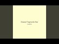 Breeze Fragments Star