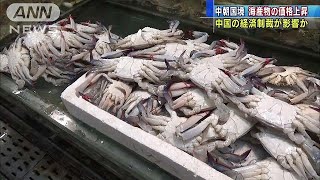 中朝国境で海産物の価格高騰　経済制裁が影響か(17/08/17)