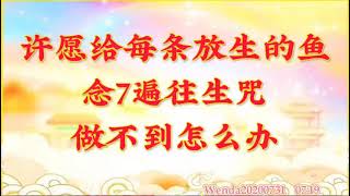 卢台长开示：许愿给每条放生的鱼念7遍往生咒，做不到怎么办Wenda20200731   07:19