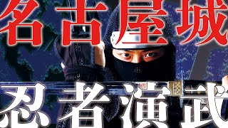 【名古屋城・忍者演武】剣舞 青龍