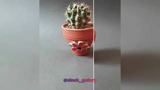 littel cactus pot 🌵  mosaic art      گلدان کوچک کاکتوس با هنر موزاییک