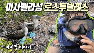 갈라파고스 제도, 여기 오시면 이 투어만큼은 초강추 - 🇪🇨#37 【EP.3】